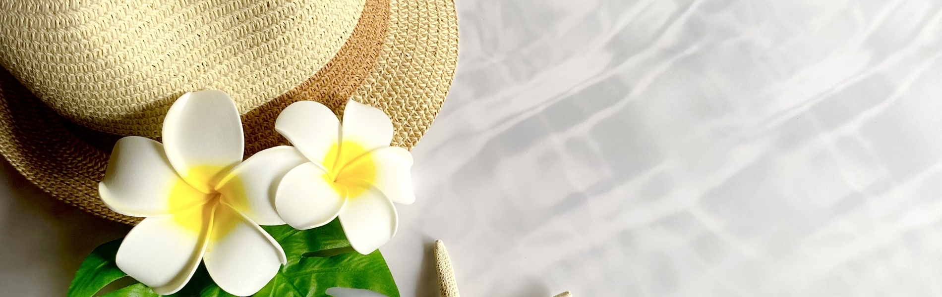 ﾍﾟｰｼﾞﾄｯﾌﾟ画像